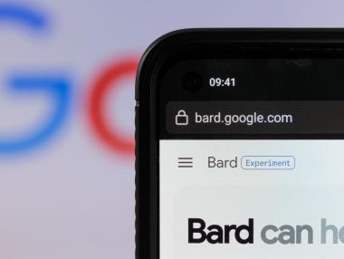 Повече пингвини, отколкото европейци могат да използват чатбота на Google