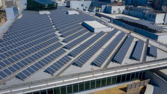 40 млн. лв. останаха неизползвани по ВЕИ програмата за бизнеса