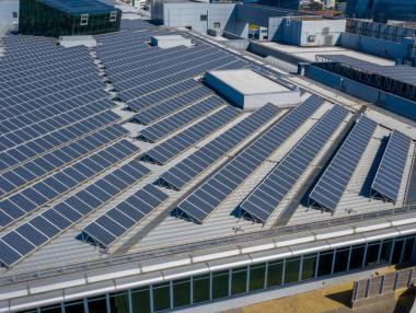 40 млн. лв. останаха неизползвани по ВЕИ програмата за бизнеса