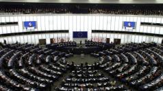 Изборите за Европейски парламент се считат за най мащабното транснационално
