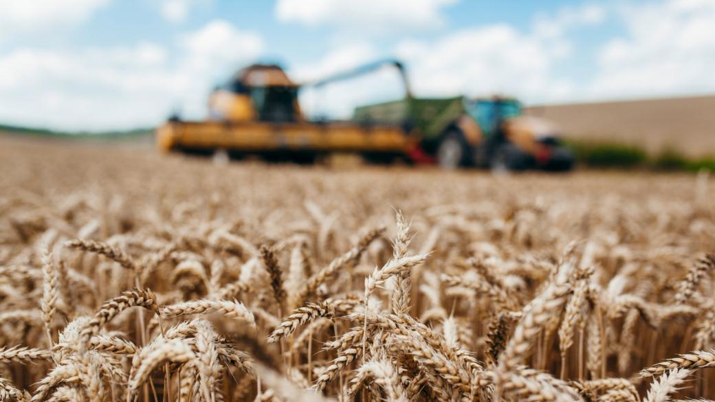 Еврокомисията ще подкрепи полските зърнопроизводители с 1 млрд. евро