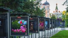 Miele България водещ производител на премиум домакински уреди даде старт