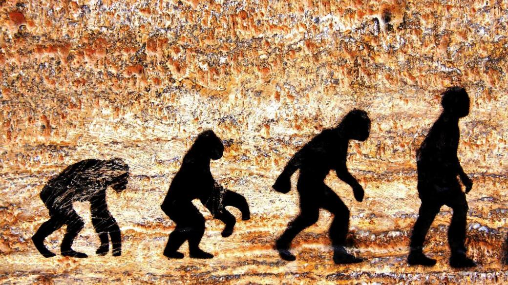 4 млрд. години еволюция: Как се изправи човекът?