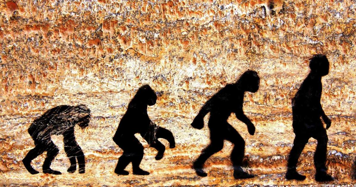 Историята на човешката еволюция е завладяваща, простираща се назад в