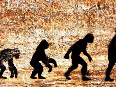 4 млрд. години еволюция: Как се изправи човекът?