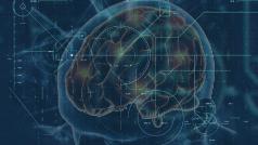 Това което знаем за мозъка е много по малко от онова