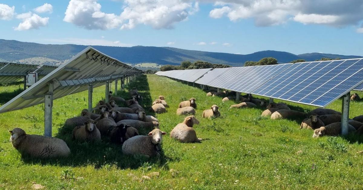 Българската компания Тера Сол Енерджи“ иска да изгради най-големия соларен