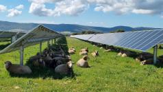 Българската компания Тера Сол Енерджи иска да изгради най големия соларен