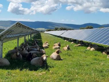 „Най-големият в Югоизточна България“: Планира се соларен парк за 110 млн. евро