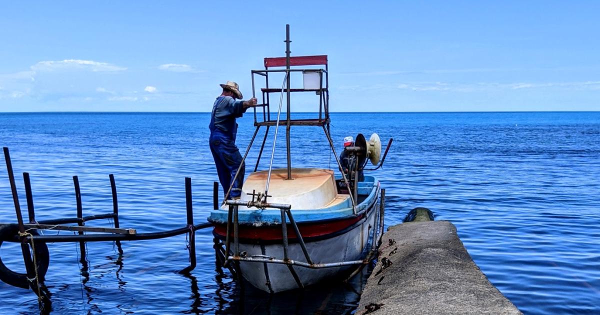 Идеята за компанията Черноморски улов“ се заражда през 2018 г.,