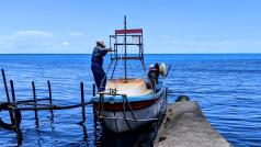 Идеята за компанията Черноморски улов се заражда през 2018 г