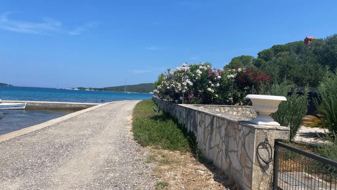 Галерия :: Снимка 3 :: Остров Углян – тихото хърватско бижу (галерия)}