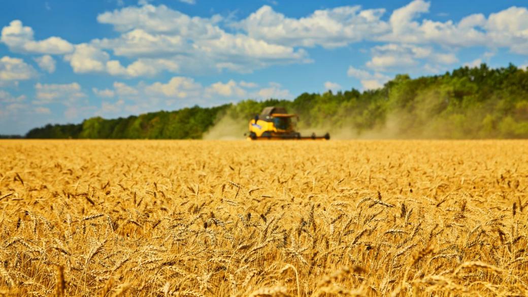 Може ли превръщането на пшеницата в оръжие да навреди на света?