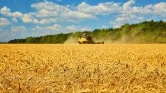Пшеницата е най важната основна храна в света и затова може