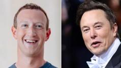 Т нар мач в клетка между милиардерите Илон Мъск и Марк