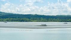 Използването на плаващи фотоволтаици FPV известни още като floatovoltaics е