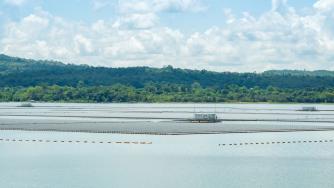 Ръст от 2000% – плаващите слънчеви панели ще стават все по-разпространени