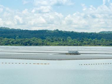 Ръст от 2000% – плаващите слънчеви панели ще стават все по-разпространени