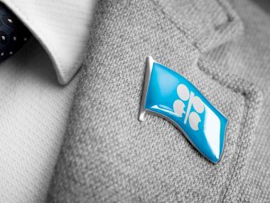 ОПЕК+ оставя нивата на добив на петрол непроменени