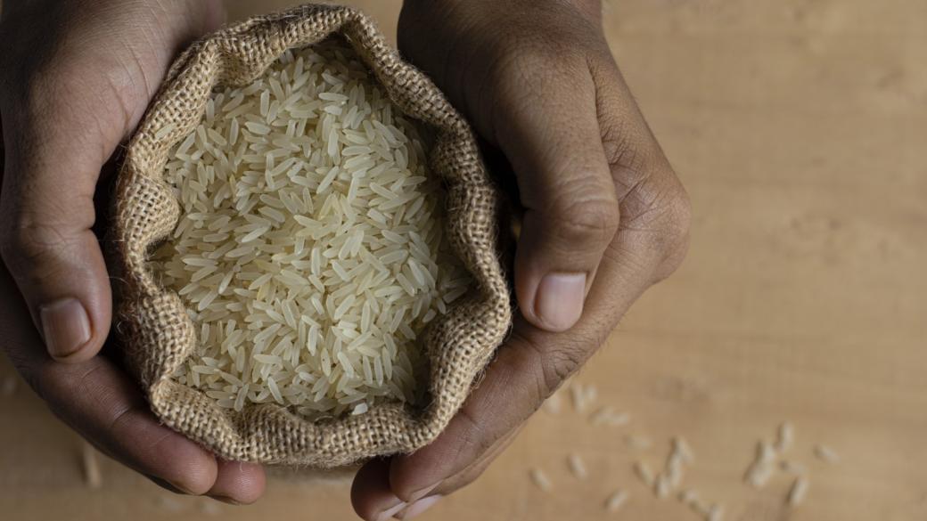 Ефектът на доминото: Забраната за износ на ориз от Индия поставя пазара на ръба
