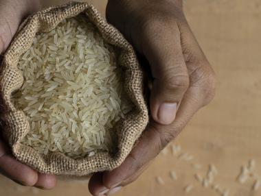 Ефектът на доминото: Забраната за износ на ориз от Индия поставя пазара на ръба
