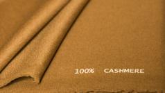 До пролетта в обширните тревни площи на Централна Монголия зимните