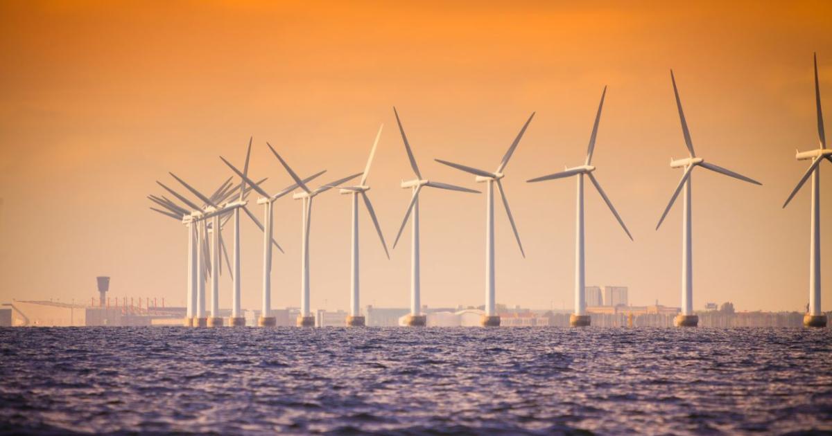 Докато в България все още няма закон, който да урежда