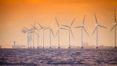 Докато в България все още няма закон който да урежда