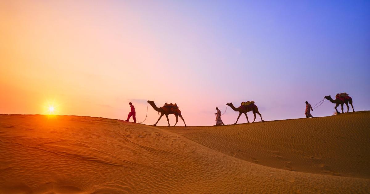 В пустинята Сахара – една от най-негостоприемните среди на планетата,