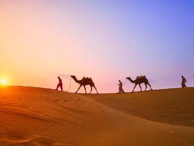 Решение на екологичната криза? Да отглеждаш водорасли в Сахара