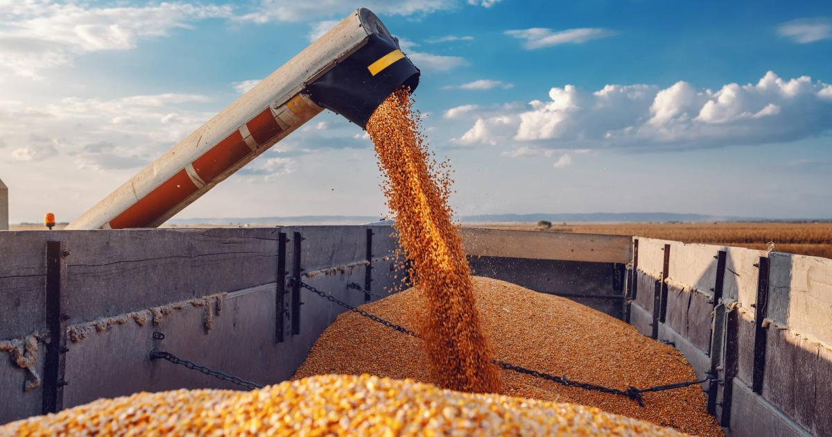 Украйна е в процес на финализиране на схема с глобални