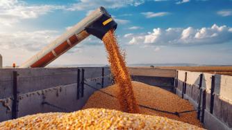 Украйна e близо до договаряне на зърнен коридор