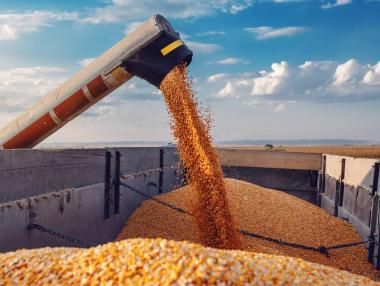 Украйна e близо до договаряне на зърнен коридор