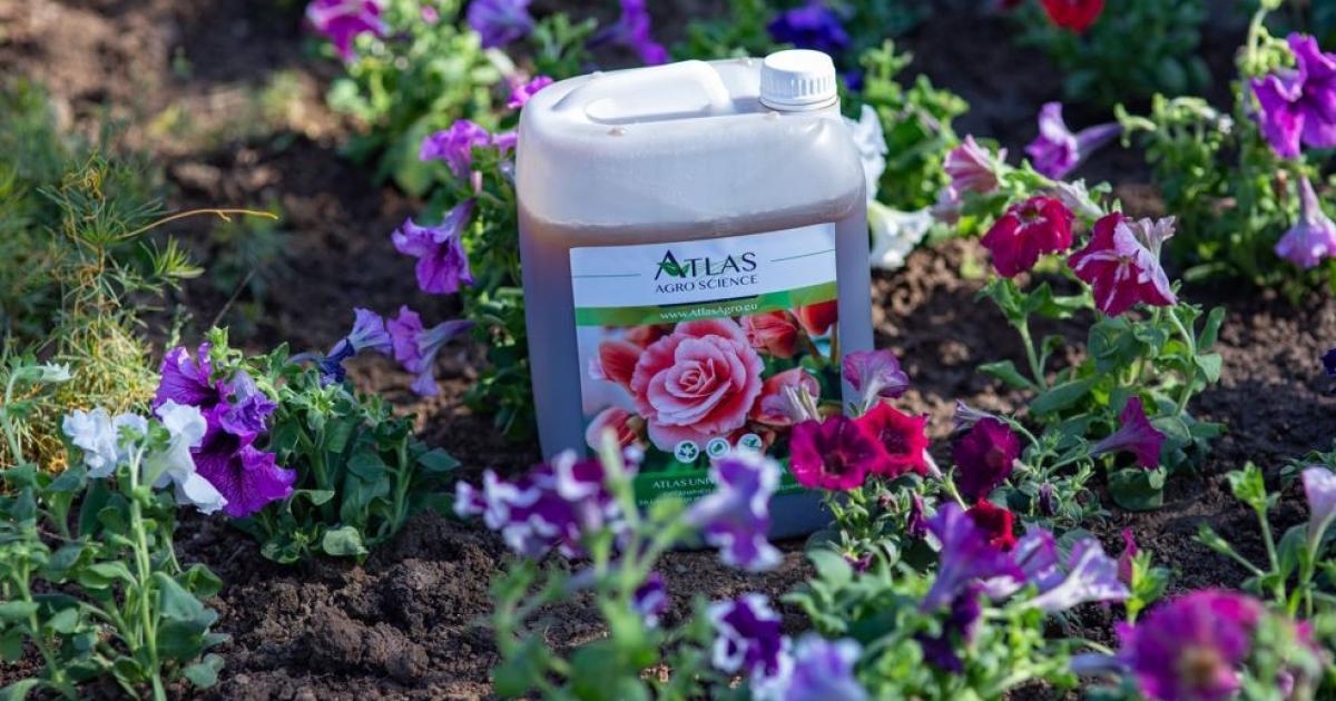 Да спасим почвата, призовава Садгуру и за целта създаде движение