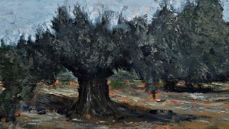 Игра на светлината