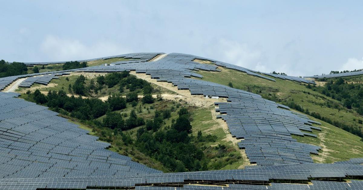 Министерският съвет реши на днешното си заседание, че ще изземва