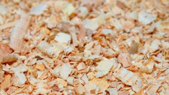 Стартъп създава храна от дървени стърготини