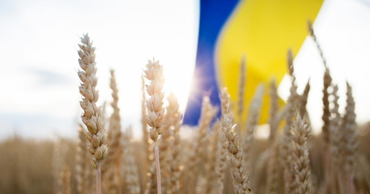 Присъединяването на Украйна към ЕС би дало достъп на Киев