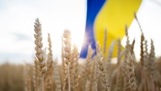 Украйна би имала достъп до 186 млрд. евро, ако влезе в ЕС