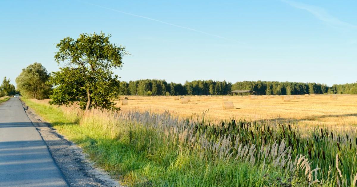 30 милиона души се очаква да изчезнат“ от европейските селски