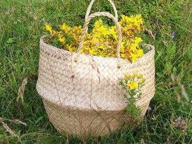 Зеленото злато