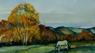 Странният живот на картините