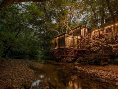 Къща на дърво: Променя ли се хотелиерството в световен мащаб?