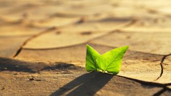 Кой плаща за климатичните промени и къде отиват парите?