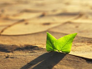 Кой плаща за климатичните промени и къде отиват парите?