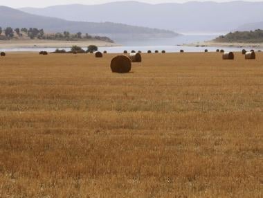 Вечерни новини: Кабинетът разпродава държавната земя?; Дефицит от 1.5% се оказа възможен