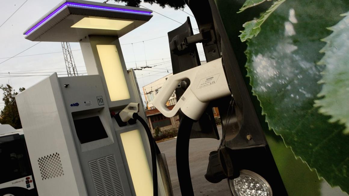 Галерия :: Снимка 4 :: Зелената вълна обхвана и градския транспорт на Стара Загора (галерия)}