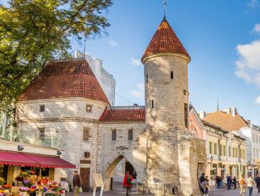 Как Талин се превърна в устойчивата Силициева долина на Европа