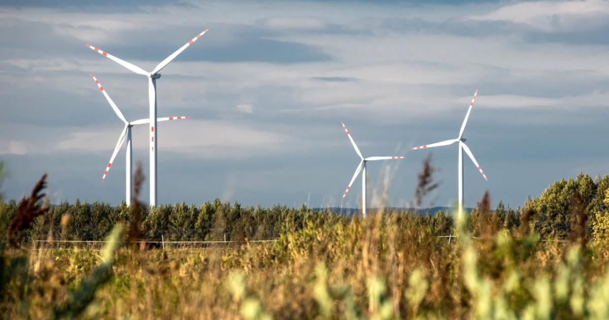 Страните от Централна и Западна Европа отбелязаха отрицателни цени в сегмент пазар