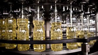 Kristera is building a new sunflower oil processing plant in Northern Bulgaria